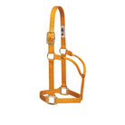 Weaver Leather 1 - Inch Original Non - Adjustable Halter - Corro