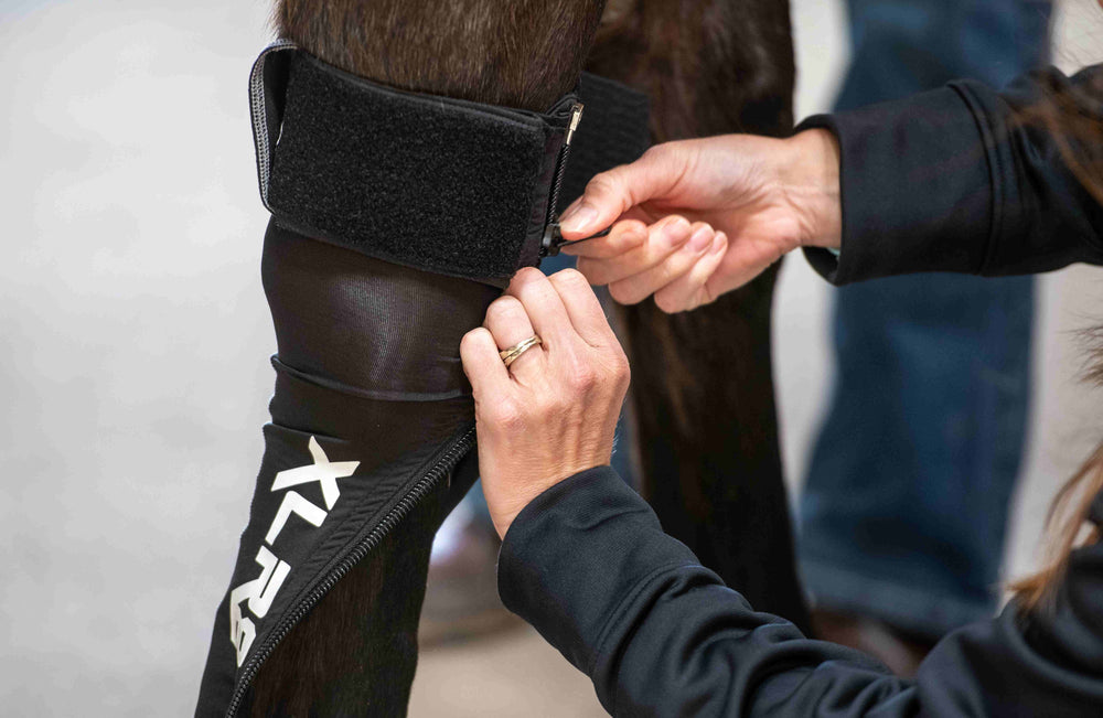 XLR8 Equine G-Force Compression Boot