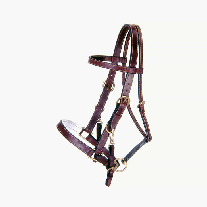 JT International Distributors, Inc. Australian Outrider Collection Leather Bridle/ Halter Combination Brown 688499149419