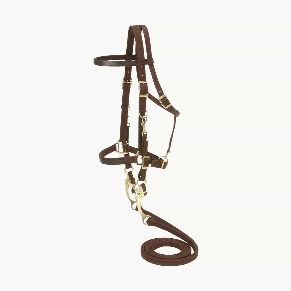 JT International Distributors, Inc. Australian Outrider Collection Nylon Bridle/Halter Combination with Reins Brown 688499149013